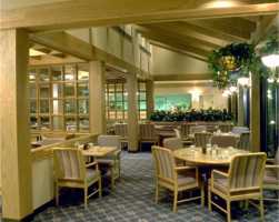 Minnesota Window Cleaner